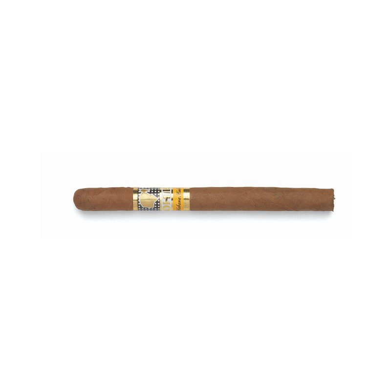 Cohiba Panetela – 1 single